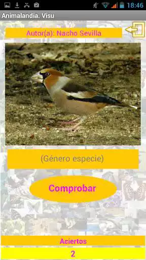 Play APK Animalandia Visu  and enjoy Animalandia Visu with UptoPlay appinventor.ai_fernando_lison.Animalandia_Visu