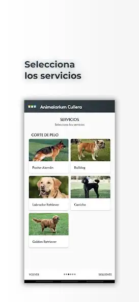 Play Animalarium Cullera  and enjoy Animalarium Cullera with UptoPlay