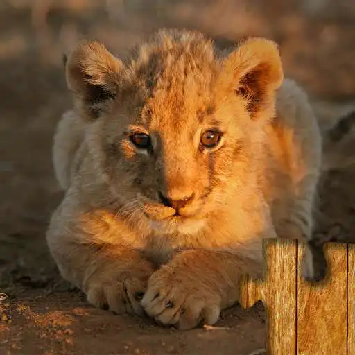 Free play online Animal Babies Jigsaw Puzzles Game - Kids Adults APK Free play online Animal Babies Jigsaw Puzzles Game - Kids Adults APK