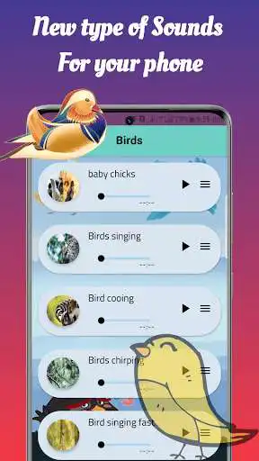 Play Animal & Birds Ringtone  and enjoy Animal & Birds Ringtone with UptoPlay