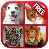 Free play online Animal  Birds Sound for kids APK