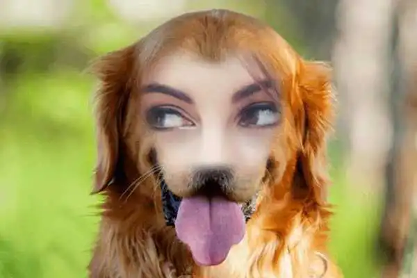 Play Animal Body Photo Editor