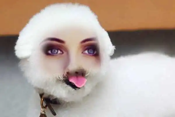 Play Animal Body Photo Editor