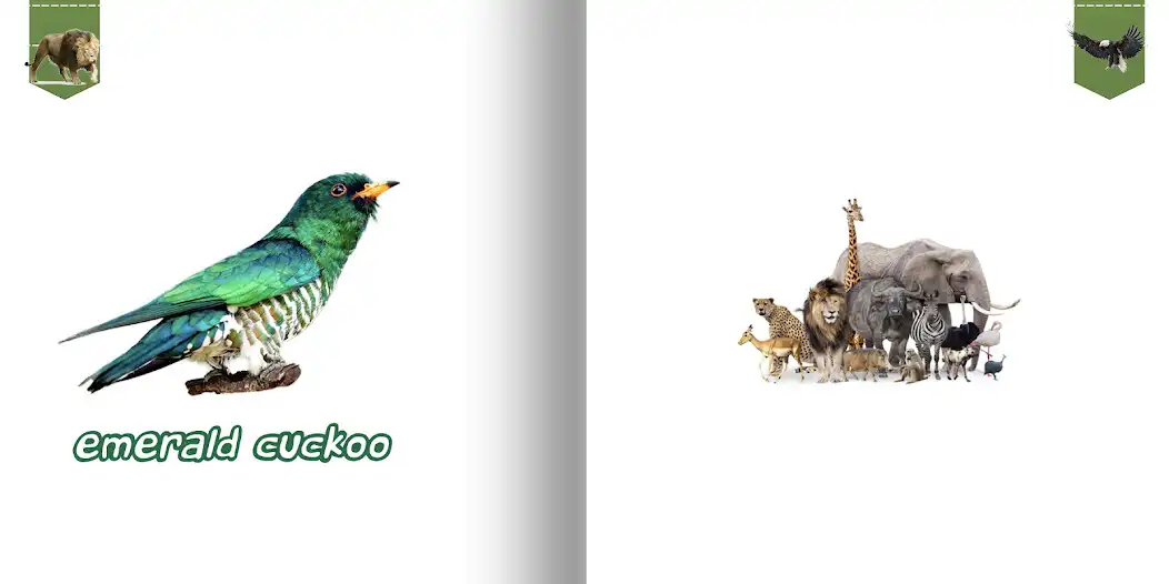 Play Animal Book  and enjoy Animal Book with UptoPlay