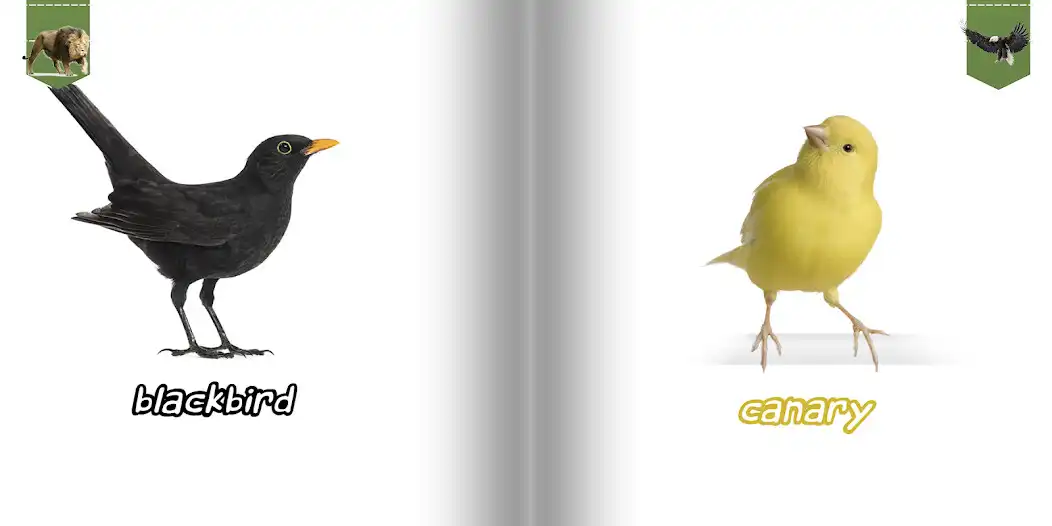 Play Animal Book as an online game Animal Book with UptoPlay