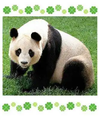 Play Animal Book ~ Free ~