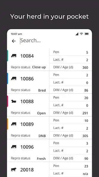 Play animal by milc group  and enjoy animal by milc group with UptoPlay
