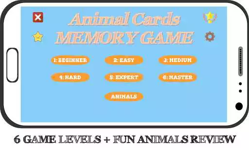 Play Animal Cards (Memory Game)