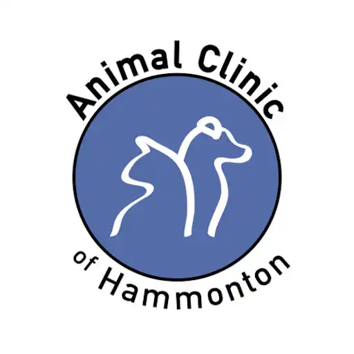 Play Animal Clinic of Hammonton APK