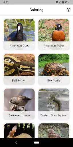 Play Animal Coloring.  and enjoy Animal Coloring. with UptoPlay