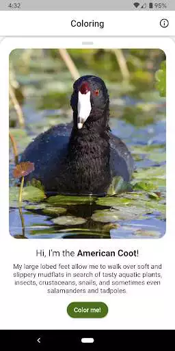 Play Animal Coloring. as an online game Animal Coloring. with UptoPlay