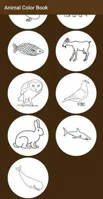Play Animal Colour book