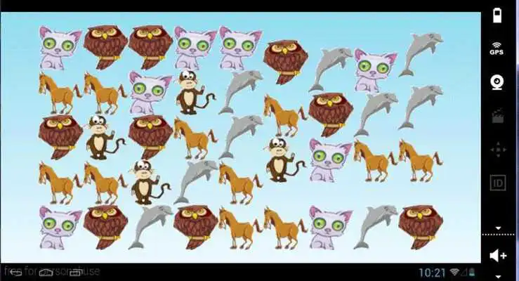 Play animal crash