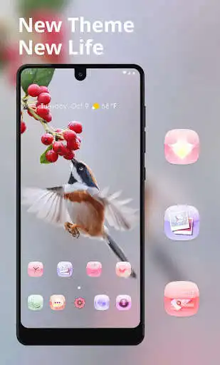 Play Animal cute bird eating fruits theme  and enjoy Animal cute bird eating fruits theme with UptoPlay