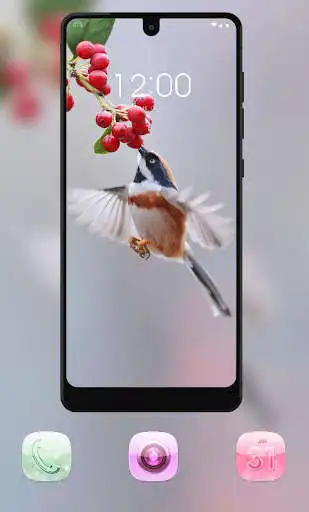 Play Animal cute bird eating fruits theme as an online game Animal cute bird eating fruits theme with UptoPlay