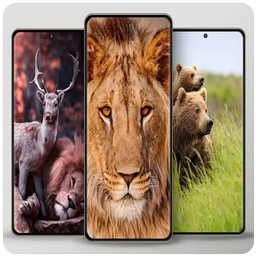 Play Animal cute wallpaper APK