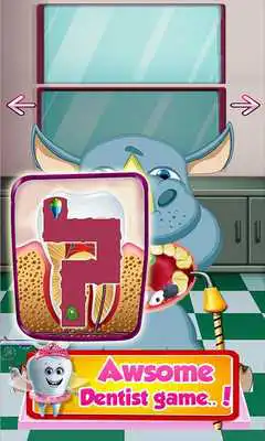 Play Animal Dentist and Doctor