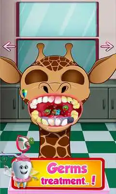 Play Animal Dentist and Doctor