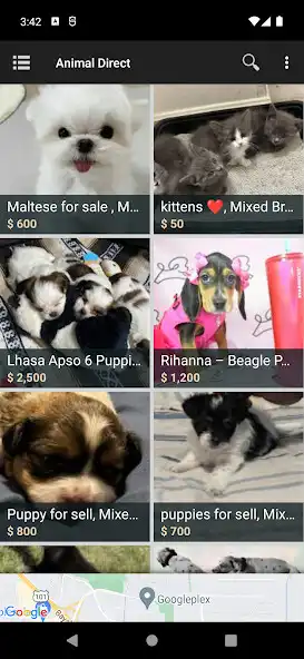 Play Animal Direct  and enjoy Animal Direct with UptoPlay