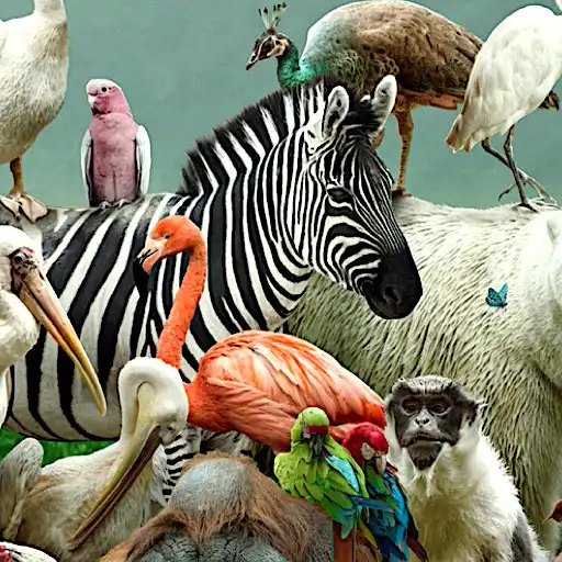 Play Animal Documentary online APK Play Animal Documentary online APK
