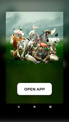 Play Animal Documentary online  and enjoy Animal Documentary online with UptoPlay