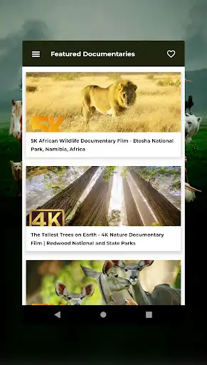Play Animal Documentary online as an online game Animal Documentary online with UptoPlay