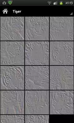 Play Animal embossed wallpaper