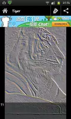 Play Animal embossed wallpaper
