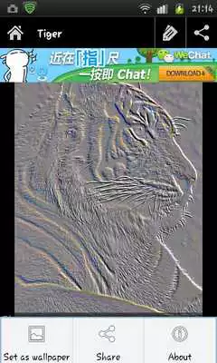 Play Animal embossed wallpaper