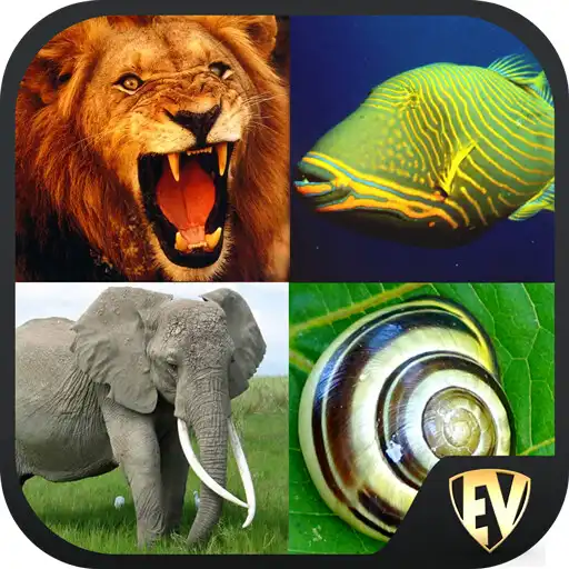 Play Animal Encyclopedia Offline APK