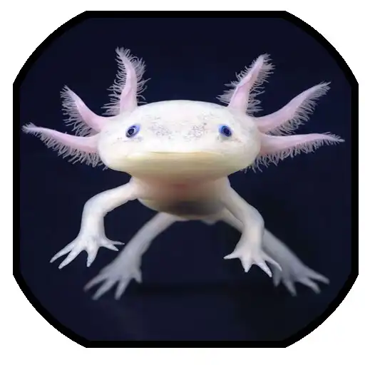 Play Animales fantásticos, raros y  APK