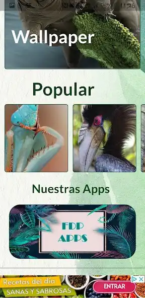 Play Animales fantásticos, raros y as an online game online Animales fantásticos, raros y with UptoPlay Play Animales fantásticos, raros y as an online game Animales fantásticos, raros y with UptoPlay