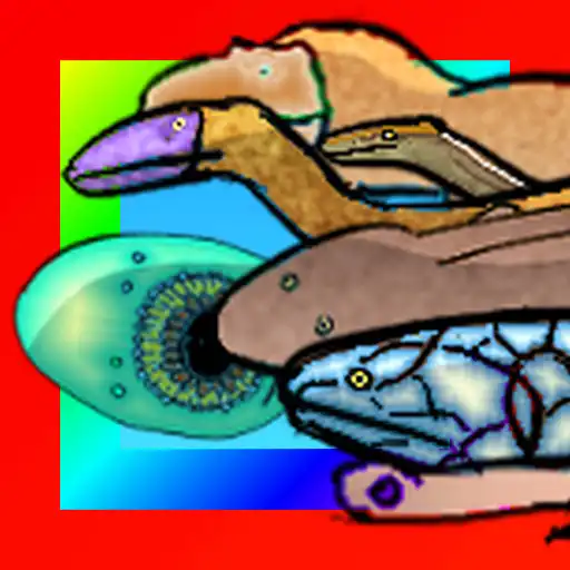 Play Animal Evolution APK Play Animal Evolution APK