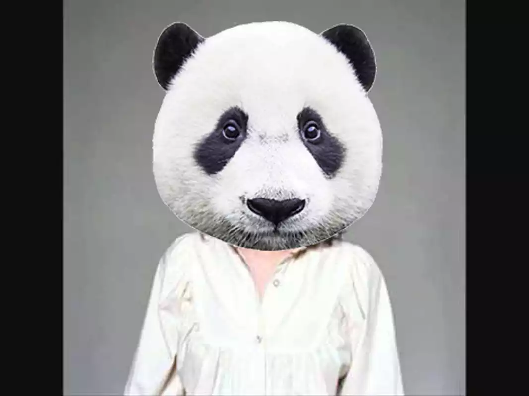 Play Animal Face Changing Editor