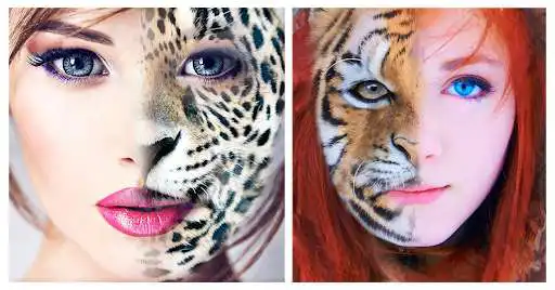 Play Animal Face Editor : Morphing as an online game Animal Face Editor : Morphing with UptoPlay