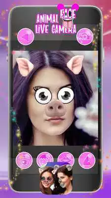 Play Animal Face Live Camera