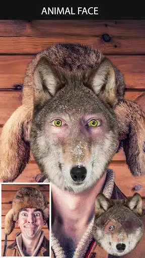 Play Animal Face Maker App and enjoy Animal Face Maker App with UptoPlay Play Animal Face Maker App and enjoy Animal Face Maker App with UptoPlay