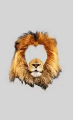 Play Animal Face Maker