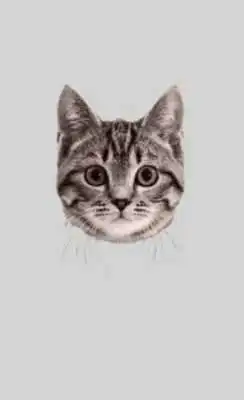 Play Animal Face Maker