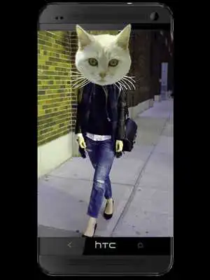 Play Animal Face Maker
