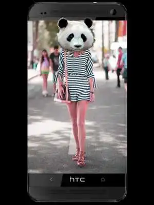Play Animal Face Maker