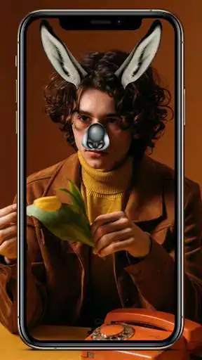 Play Animal Face Mask Photo Editor - Wallpapers as an online game Animal Face Mask Photo Editor - Wallpapers with UptoPlay