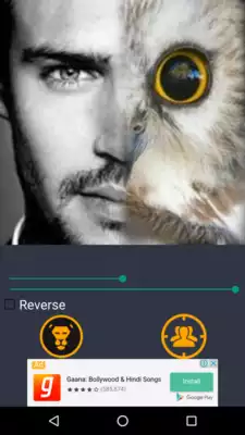 Play Animal Face Morph