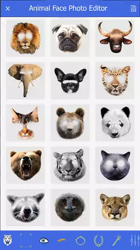Play Animal Face Photo Editor