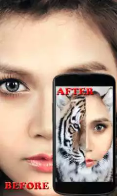 Play Animal Faces - Face Morphing