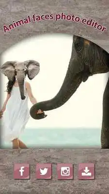 Play Animal Faces Photo Editor