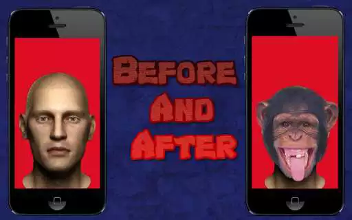 Play Animal Face Swap Play Animal Face Swap