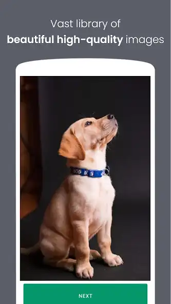 Play Animal flashcards offline as an online game online Animal flashcards offline with UptoPlay Play Animal flashcards offline as an online game Animal flashcards offline with UptoPlay