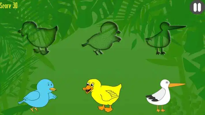 Play Animal Flower Puzzle for kids