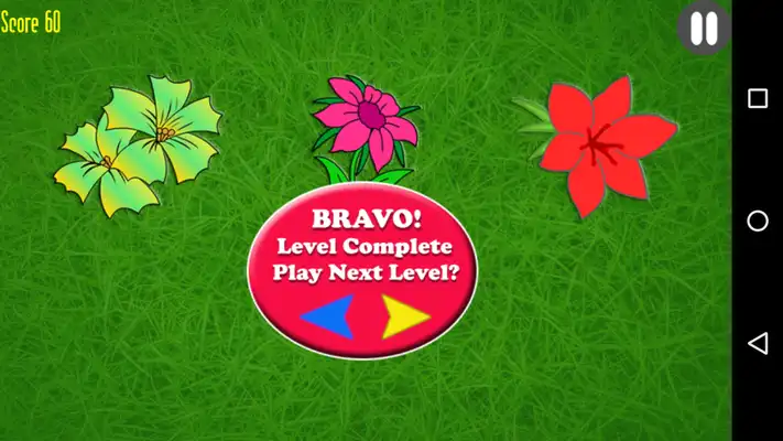 Play Animal Flower Puzzle for kids